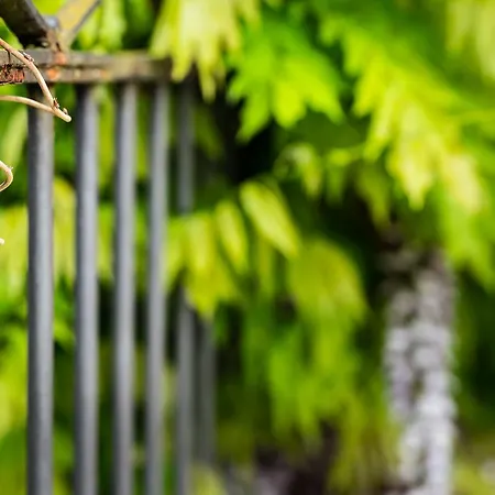 Pop Up Lindenegg Hotel Biel