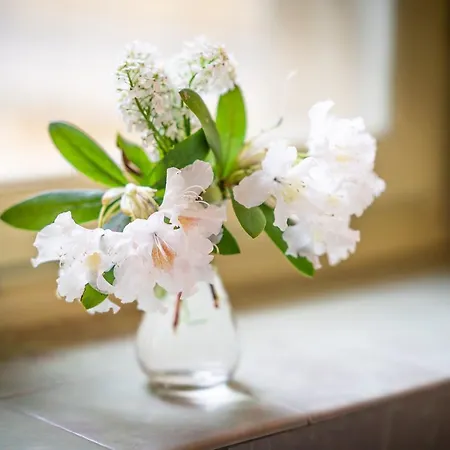 Hotel Pop Up Lindenegg Biel