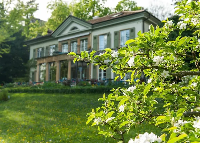 Отель Pop Up Lindenegg 3*