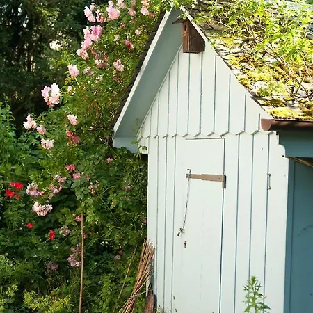 מלון Pop Up Lindenegg 3*