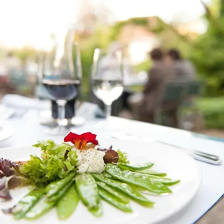 Pop Up Lindenegg מלון 3*