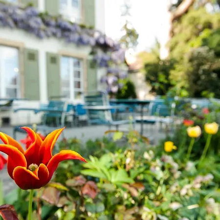 Pop Up Lindenegg ביאל