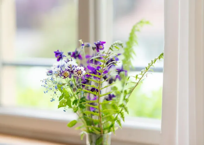 Pop Up Lindenegg Hotel Biel