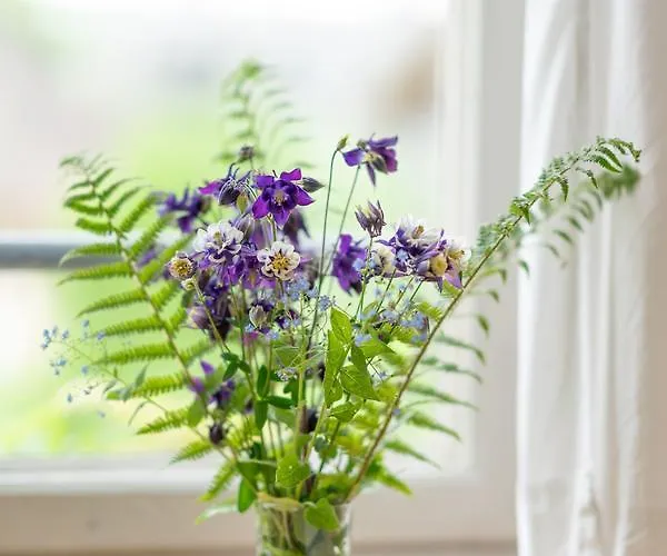 Hotel Pop Up Lindenegg 3*