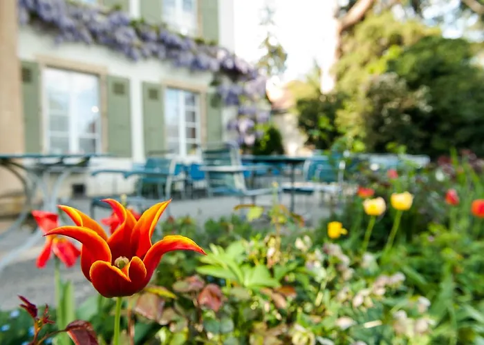 Pop Up Lindenegg Biel