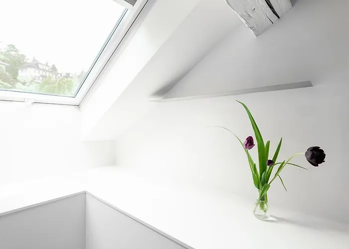 Hotel Pop Up Lindenegg 3*