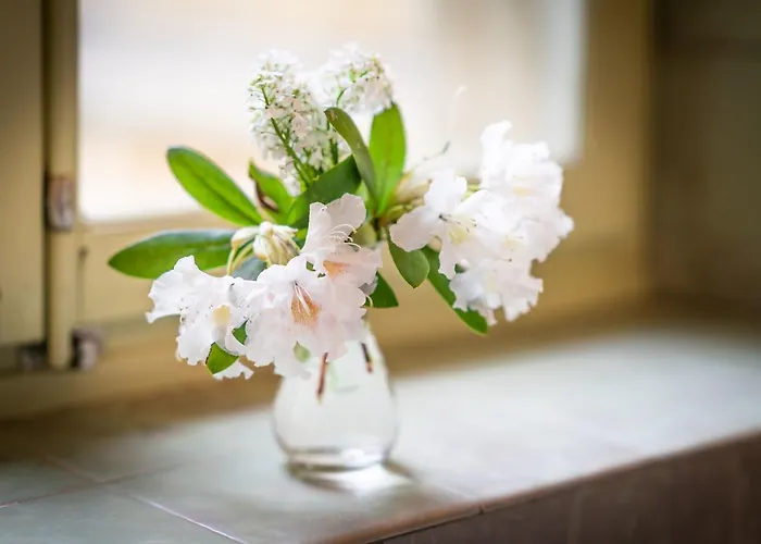 Hotel Pop Up Lindenegg Biel